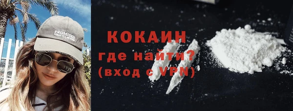 молекула духа Карпинск