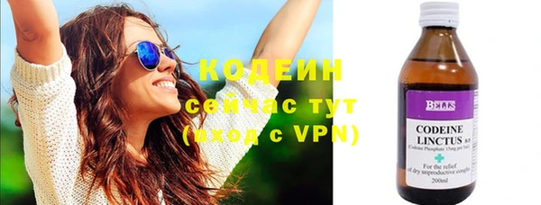 молекула духа Карпинск