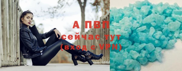 молекула духа Карпинск