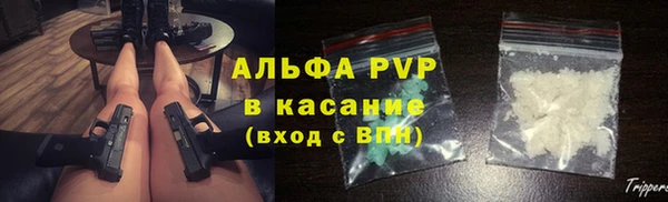 молекула духа Карпинск