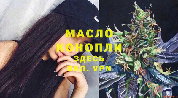 молекула духа Карпинск