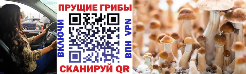 Галлюциногенные грибы ЛСД Усть-Катав