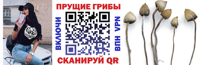 Купить закладки  Усть-Катав  Псилоцибиновые грибы ЛСД 